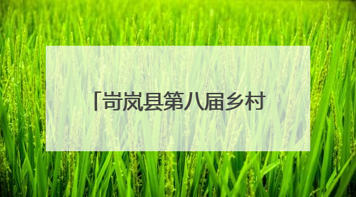 岢岚县第八届乡村文化旅游季开幕