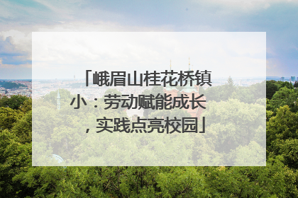 峨眉山桂花桥镇小：劳动赋能成长，实践点亮校园