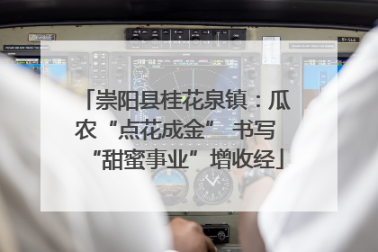 崇阳县桂花泉镇：瓜农“点花成金” 书写“甜蜜事业”增收经