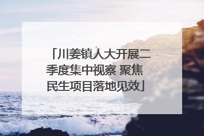 川姜镇人大开展二季度集中视察 聚焦民生项目落地见效