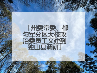 州委常委、都匀军分区大校政治委员王文建到独山县调研