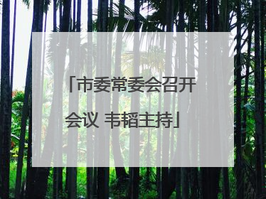 市委常委会召开会议 韦韬主持