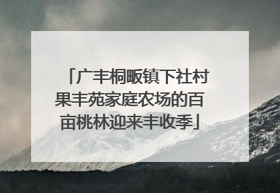 广丰桐畈镇下社村果丰苑家庭农场的百亩桃林迎来丰收季