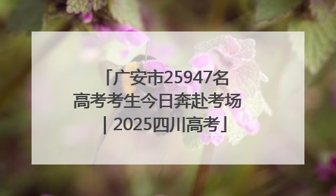 广安市25947名高考考生今日奔赴考场｜2025四川高考