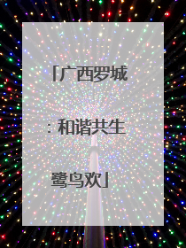 广西罗城：和谐共生鹭鸟欢