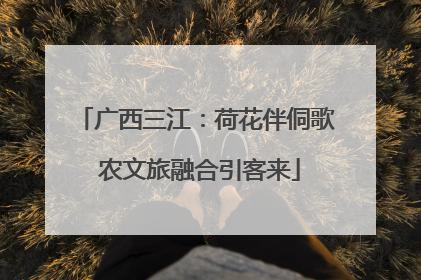 广西三江：荷花伴侗歌 农文旅融合引客来