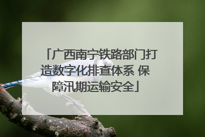 广西南宁铁路部门打造数字化排查体系 保障汛期运输安全