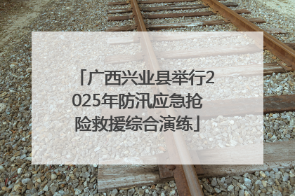 广西兴业县举行2025年防汛应急抢险救援综合演练