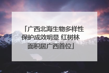 广西北海生物多样性保护成效明显 红树林面积居广西首位
