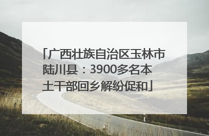 广西壮族自治区玉林市陆川县：3900多名本土干部回乡解纷促和
