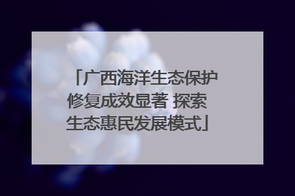 广西海洋生态保护修复成效显著 探索生态惠民发展模式