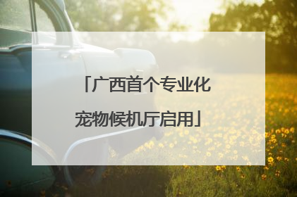 广西首个专业化宠物候机厅启用