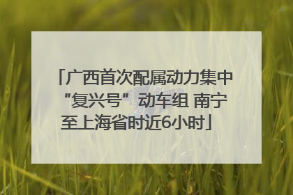 广西首次配属动力集中“复兴号”动车组 南宁至上海省时近6小时