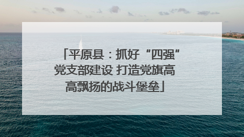 平原县：抓好“四强”党支部建设 打造党旗高高飘扬的战斗堡垒