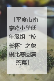 平度市南京路小学低年级组“校长杯”之象棋比赛圆满落幕