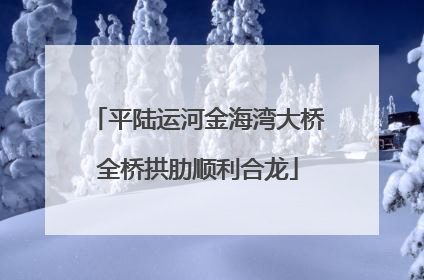 平陆运河金海湾大桥全桥拱肋顺利合龙