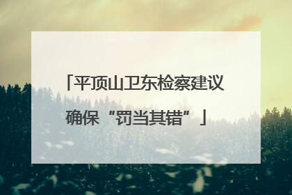 平顶山卫东检察建议确保“罚当其错”