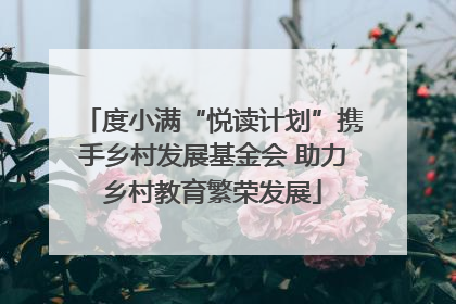 度小满“悦读计划”携手乡村发展基金会 助力乡村教育繁荣发展