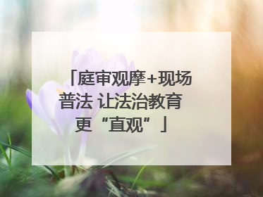 庭审观摩+现场普法 让法治教育更“直观”
