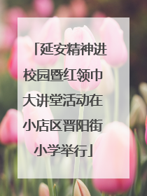 延安精神进校园暨红领巾大讲堂活动在小店区晋阳街小学举行