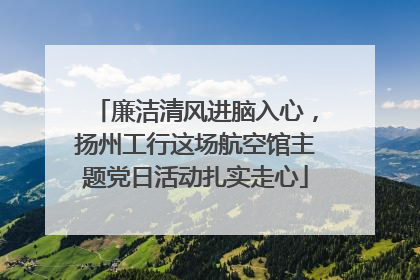 廉洁清风进脑入心，扬州工行这场航空馆主题党日活动扎实走心