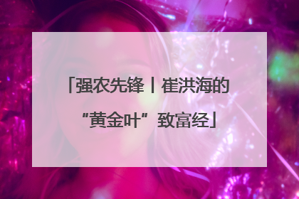 强农先锋丨崔洪海的“黄金叶”致富经