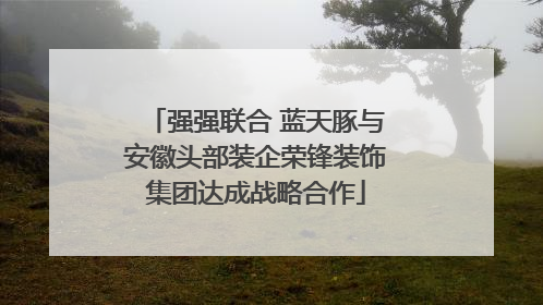 强强联合 蓝天豚与安徽头部装企荣锋装饰集团达成战略合作