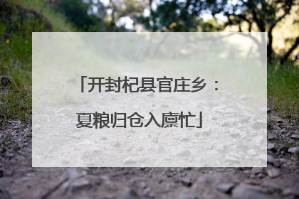 开封杞县官庄乡：夏粮归仓入廪忙