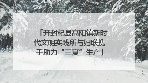 开封杞县高阳镇新时代文明实践所与妇联携手助力“三夏”生产