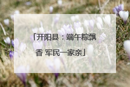 开阳县：端午粽飘香 军民一家亲