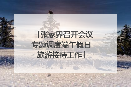 张家界召开会议专题调度端午假日旅游接待工作