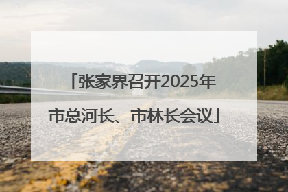 张家界召开2025年市总河长、市林长会议