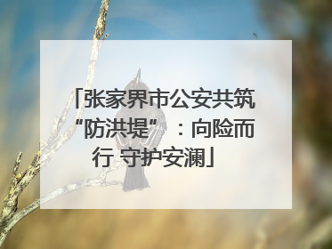 张家界市公安共筑“防洪堤”：向险而行 守护安澜