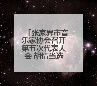张家界市音乐家协会召开第五次代表大会 胡情当选市音乐家协会主席