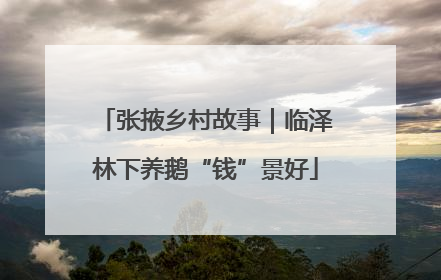张掖乡村故事｜临泽林下养鹅“钱”景好