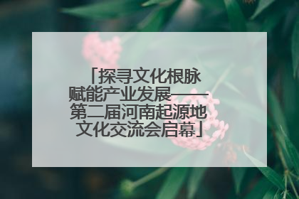 探寻文化根脉 赋能产业发展——第二届河南起源地文化交流会启幕