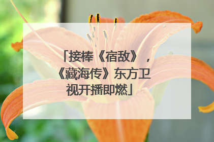 接棒《宿敌》，《藏海传》东方卫视开播即燃