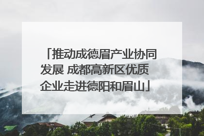 推动成德眉产业协同发展 成都高新区优质企业走进德阳和眉山