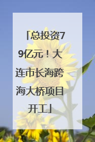 总投资79亿元！大连市长海跨海大桥项目开工