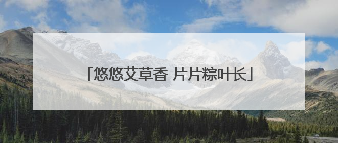 悠悠艾草香 片片粽叶长