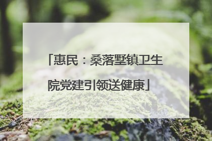 惠民：桑落墅镇卫生院党建引领送健康