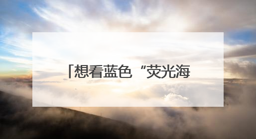 想看蓝色“荧光海”？6月，来瑞安北麂岛“追泪”吧！《90早新闻》来了