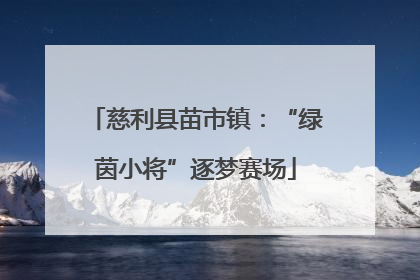 慈利县苗市镇：“绿茵小将”逐梦赛场
