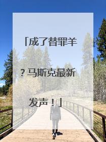 成了替罪羊？马斯克最新发声！