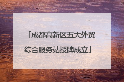 成都高新区五大外贸综合服务站授牌成立