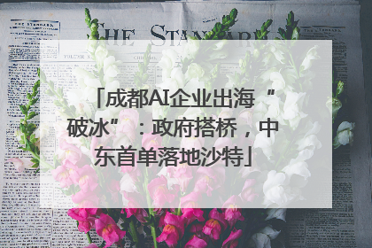 成都AI企业出海“破冰”：政府搭桥，中东首单落地沙特