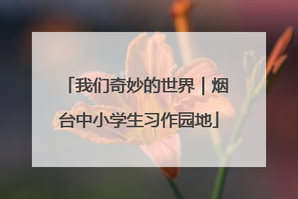 我们奇妙的世界｜烟台中小学生习作园地