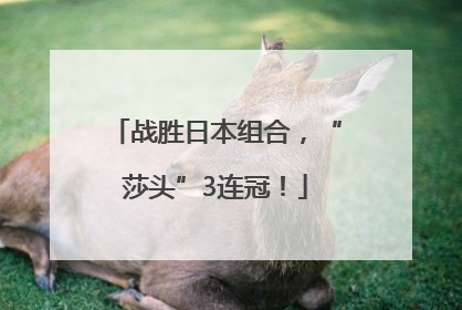 战胜日本组合，“莎头”3连冠！