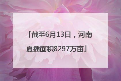 截至6月13日，河南夏播面积8297万亩