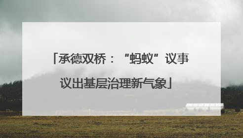 承德双桥：“蚂蚁”议事 议出基层治理新气象